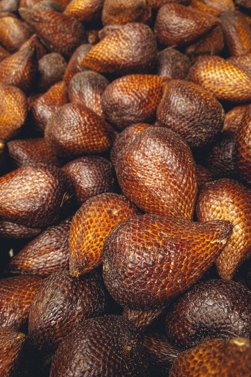Bunch of ripe brown tropical salak fruits also known as snake fruit from palm tree for natural background
